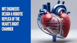 Inovasi Terobosan: Replika Robotik Ventrikel Kanan Jantung untuk Penelitian