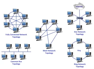 Topologi Jaringan: Pengertian, Fungsi, Jenis, Terminologi Dunia Networking